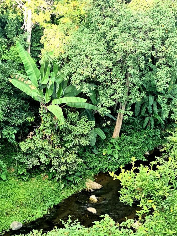 Holiday Cottage By The River, Arusha Kültér fotó