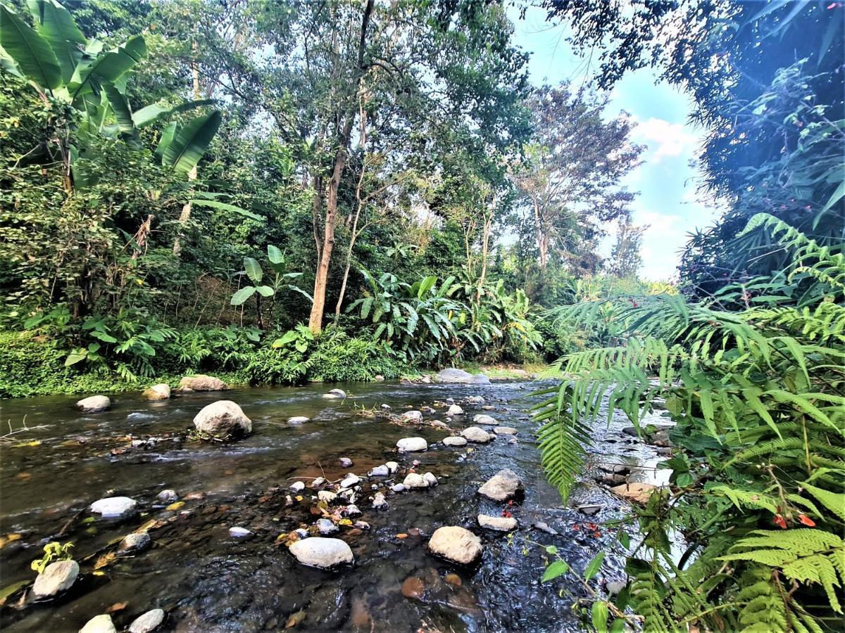 Holiday Cottage By The River, Arusha Kültér fotó